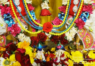 Daily darshan-2