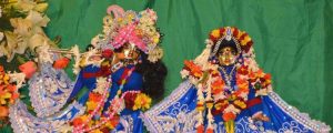 Daily Darshan